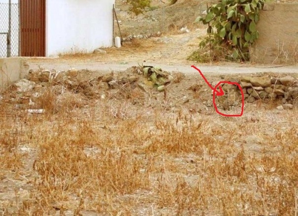 №66, Анатолий Петров, Тверь №66, Анатолий Петров, Тверь