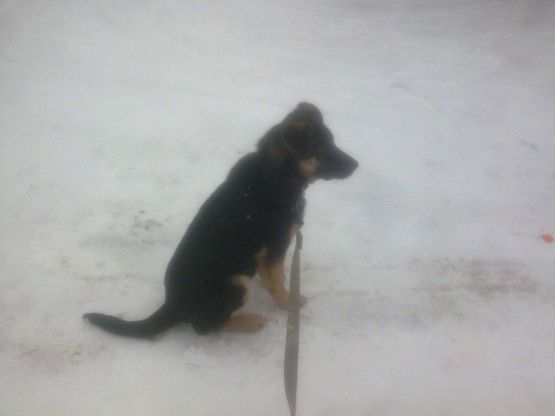 Паша Никулочкин Face-control | Калуга