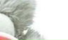 Татьяна Хомич | Брест