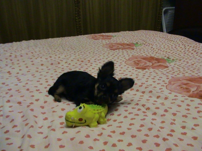 Наталья Старостина | Киров