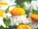 Дарья Антонова фотография #26