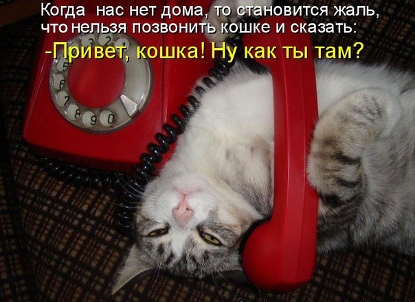 Наталья Кравчук | Санкт-Петербург