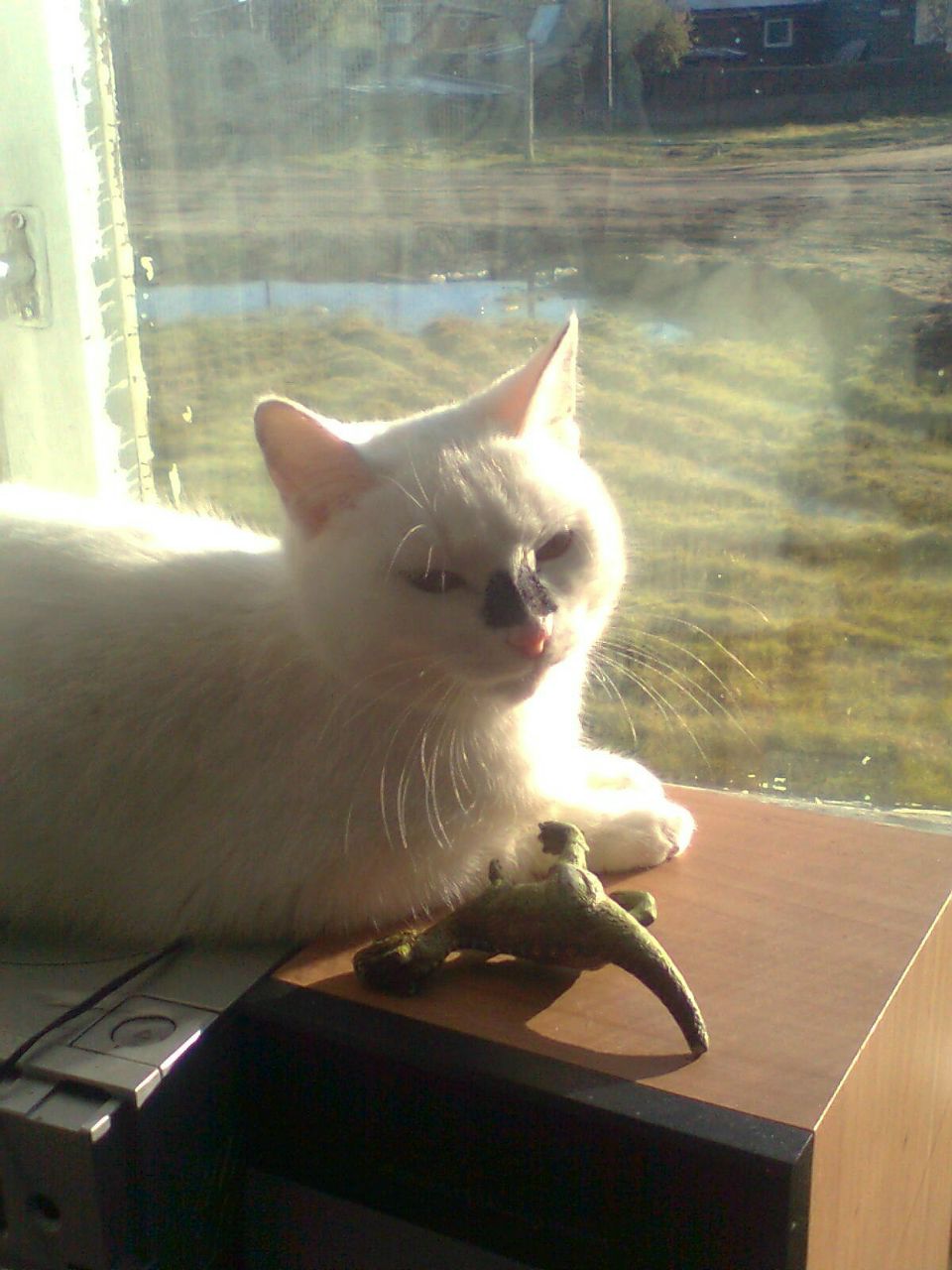 Ирина Алексеева Кирилловна | Бердигестях