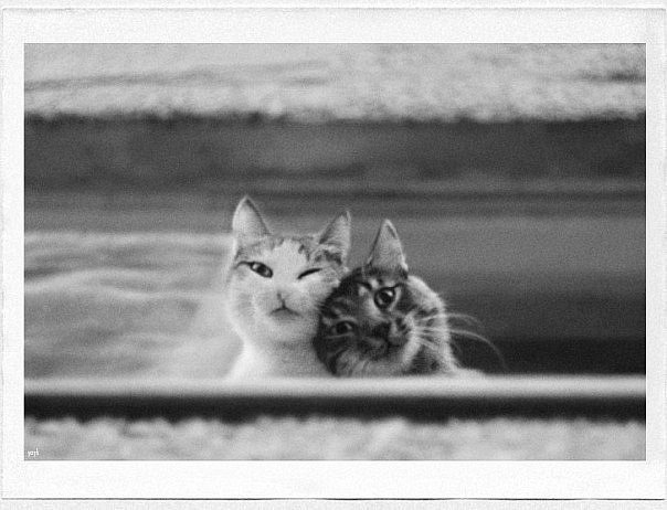 Полина Радыш | Алчевск