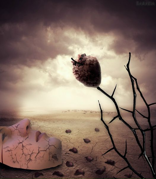 №87, Сергій Гнідаш, Киев №87, Сергій Гнідаш, Киев