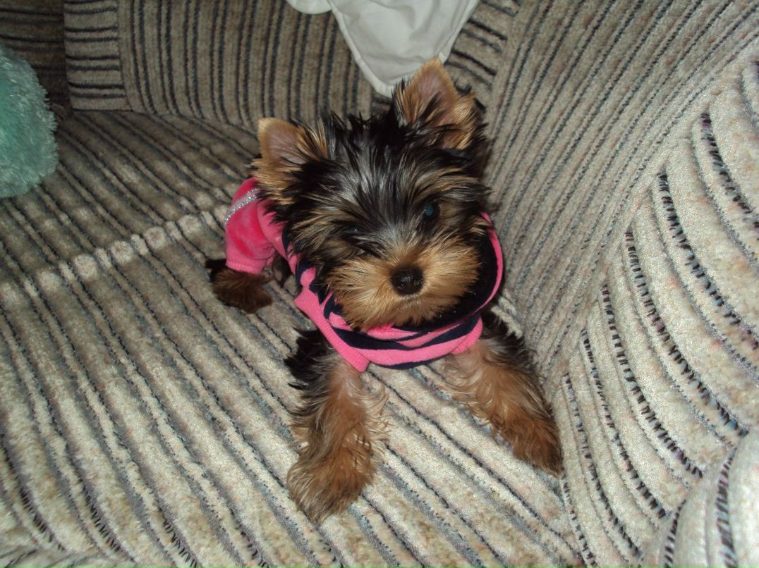 Людмила Столетова | Нижний Новгород