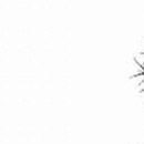 №22, Вера Милюхина, Тюмень №22, Вера Милюхина, Тюмень