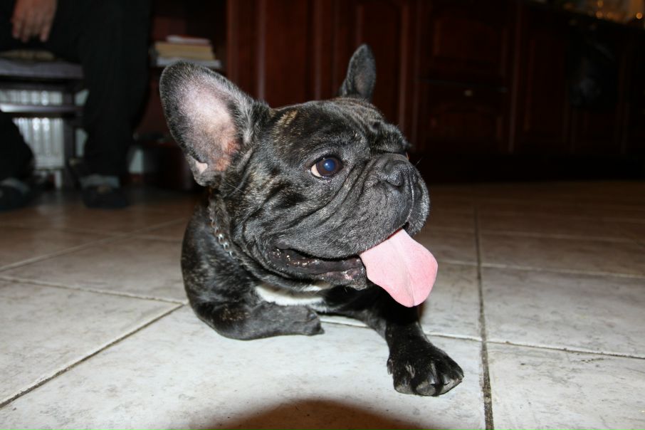 №87, Светлана Антонова, 44 года, Санкт-Петербург №87, Светлана Антонова, 44 года, Санкт-Петербург