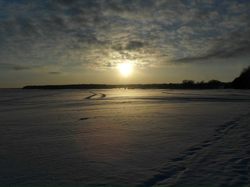 Алиса Новикова | Москва