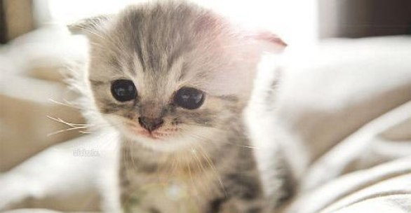 Сания Тухватшина | Альметьевск