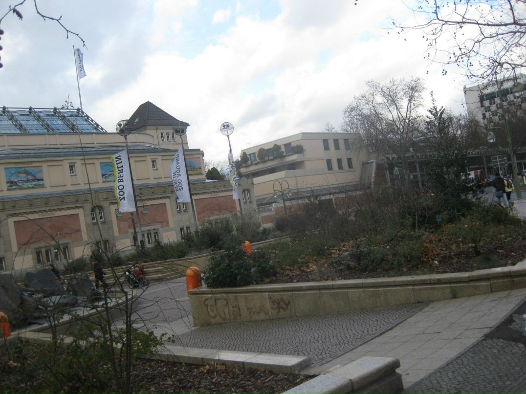 Suren Akopov | Москва