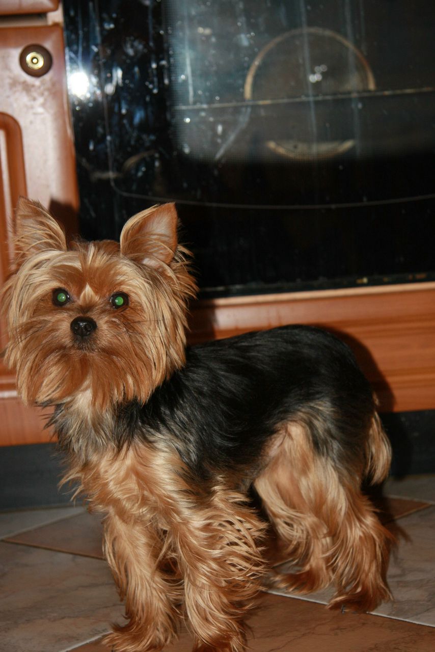 Олечка Титова princessa | Москва