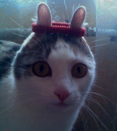 №17, Екатерина Касьяненко, Киев №17, Екатерина Касьяненко, Киев