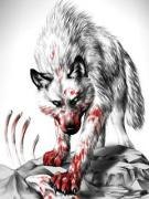 Илля Хорошевский <