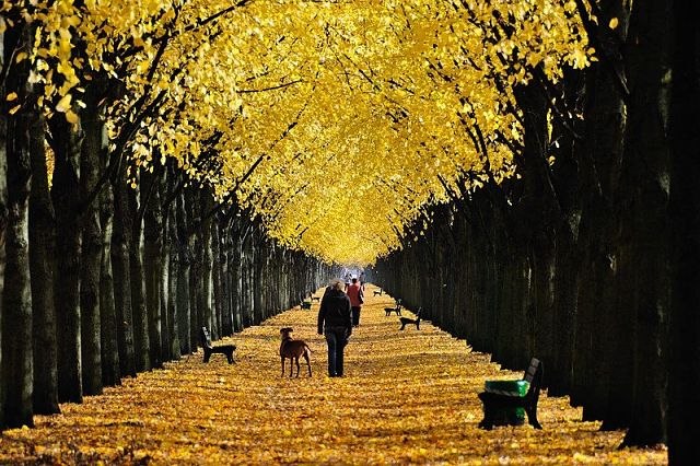 Юлия Алексеева | Санкт-Петербург