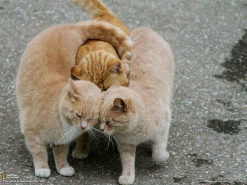 №100, Марина Муслимова №100, Марина Муслимова