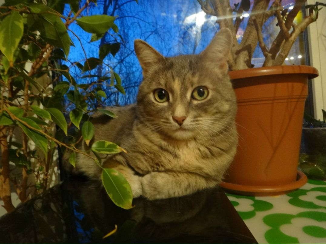 Татьяна Медведева | Рязань