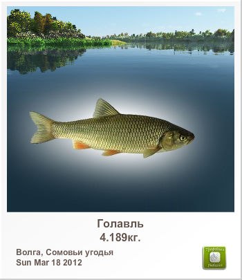 Сергей Грин | Приморск