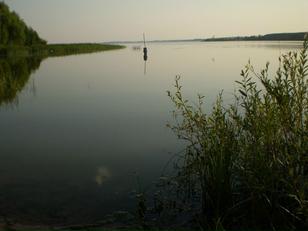 Женек Зинюхин | Москва