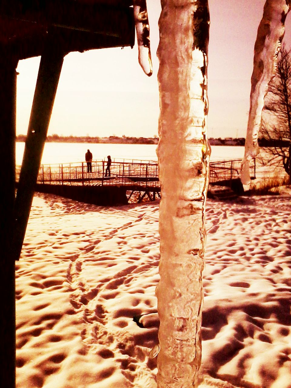 Татьяна Сосенкова | Санкт-Петербург