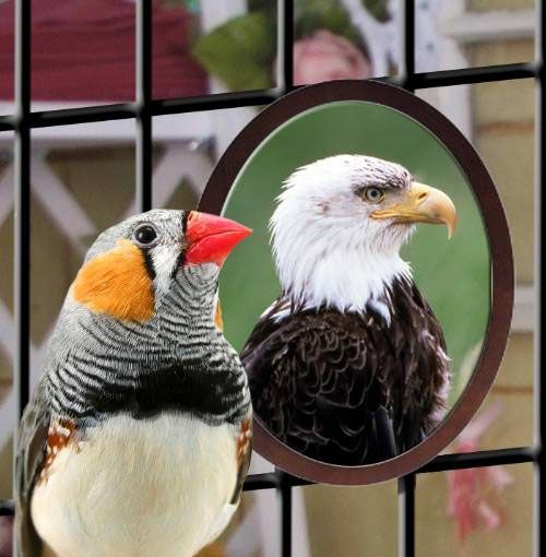 Наталия Важненко | Санкт-Петербург