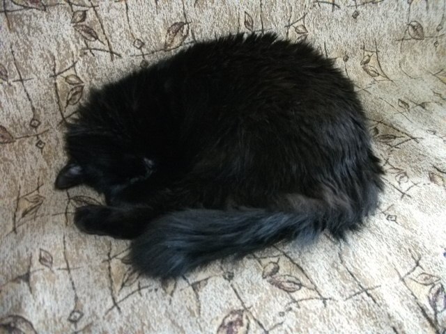 Сергей Паршин ZVEZDEC | Томилино