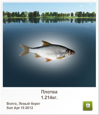 Иван Дунский | Липецк