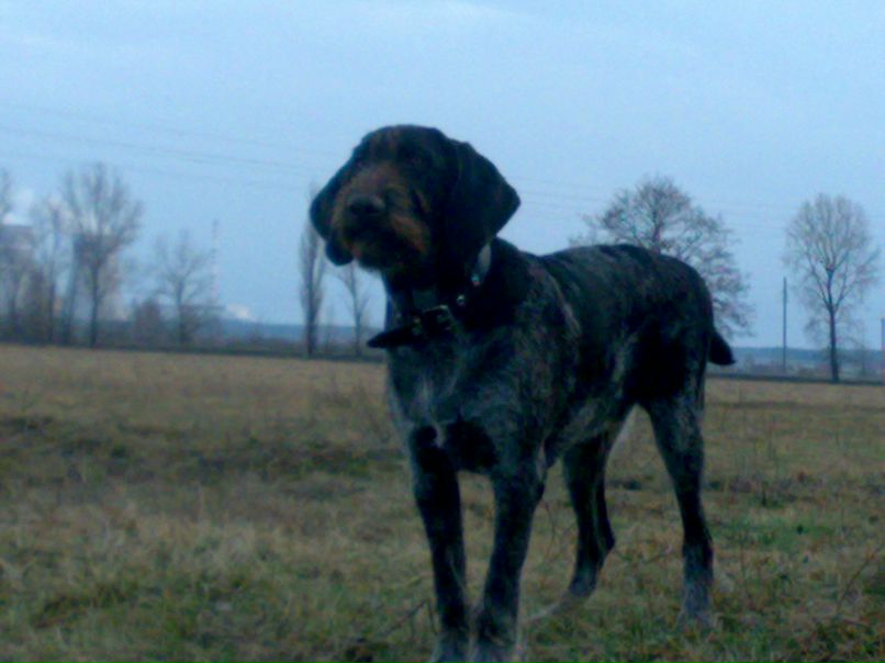 Танюша Ворфоломеева ( Трещева) | Севастополь