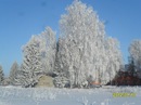 №20 Павел Жданов