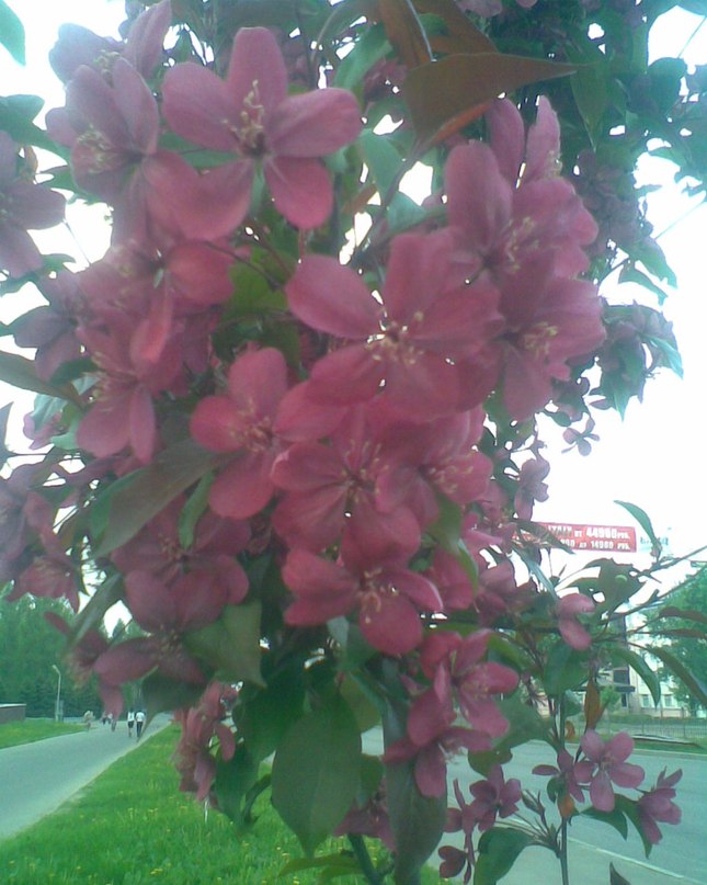 Ольга Сироткина | Ярославль