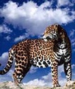 Фотография Кузнецова Никиты