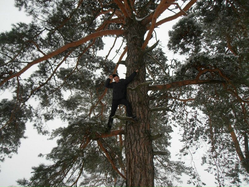 Александр Моссур | Бердянск