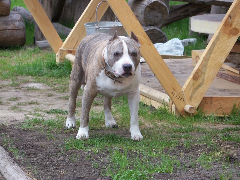 №2, Вова Волошнюк, Киев №2, Вова Волошнюк, Киев