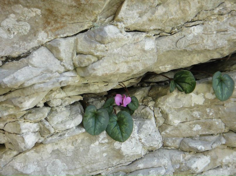 Юлия Попова | Пермь