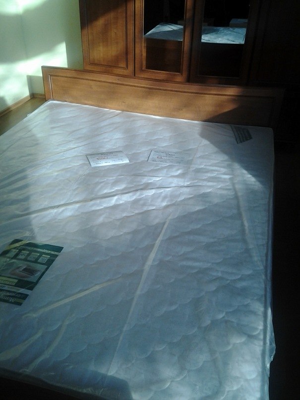 Таракан Тараканов | Киев