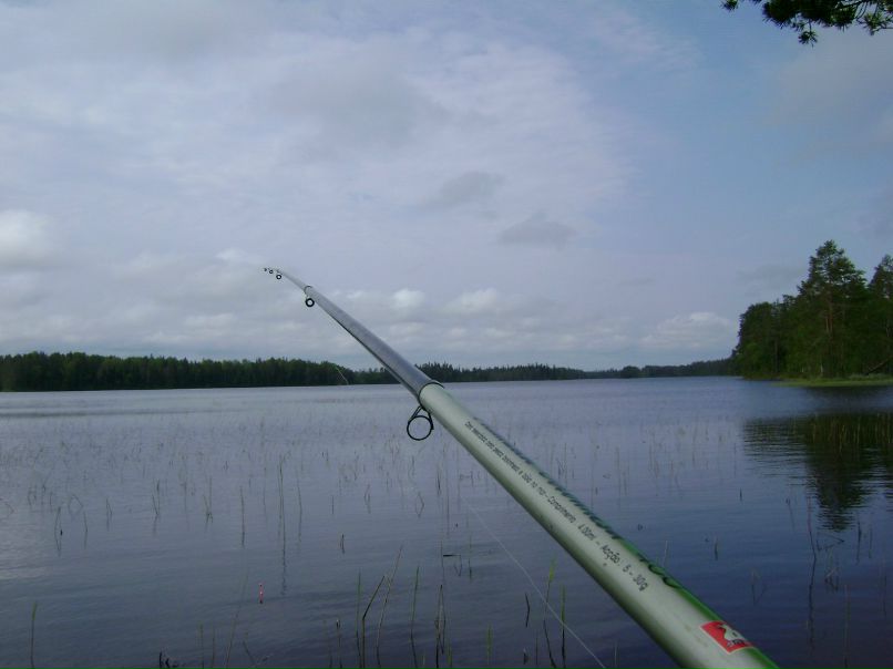 Виктор Романов | Архангельск