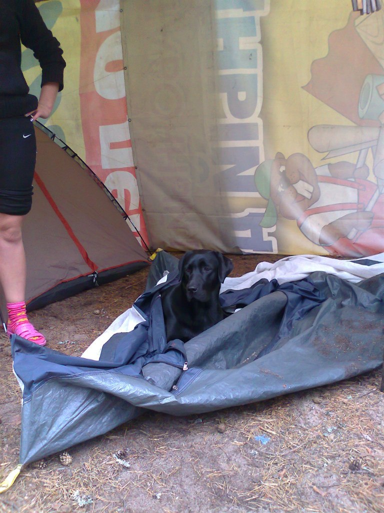 Александр Семин | Тула