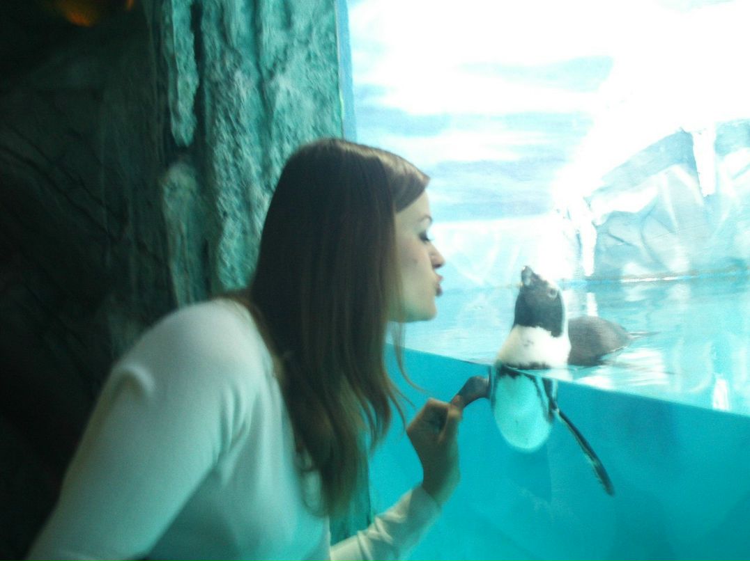 Марина Колесникова | Москва