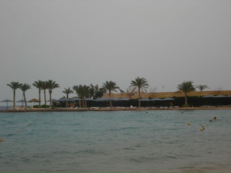 Chico Shaker | Cairo