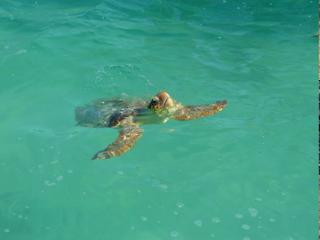 Мария Яковлева | Москва