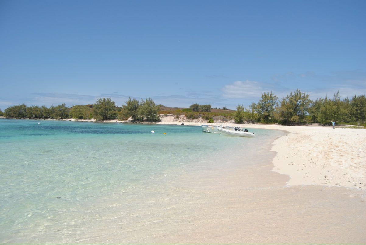 Tanja Mettler | Lugano