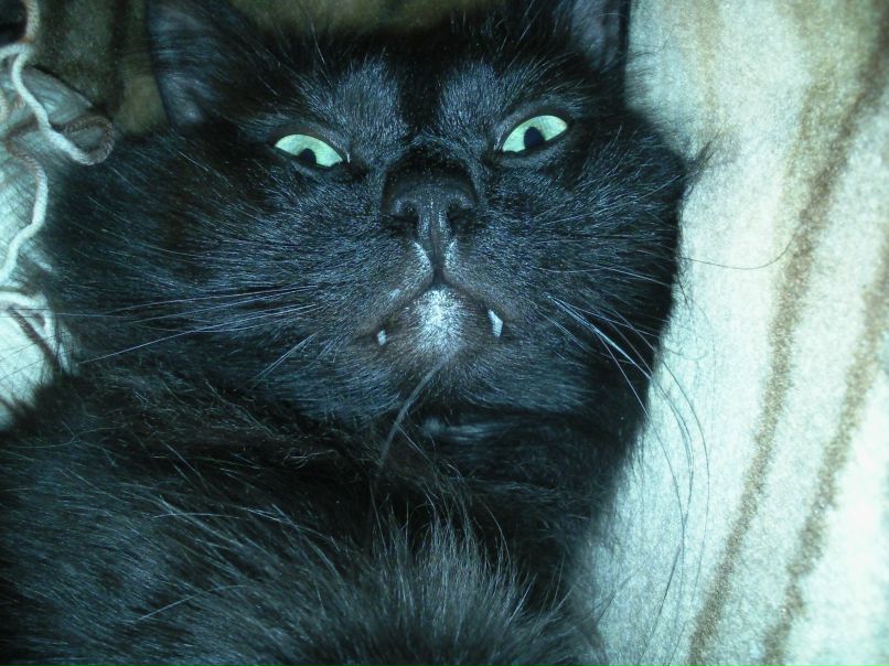 Наталья Глянцева | Санкт-Петербург