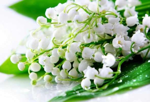 Евгения Фомина | Екатеринбург