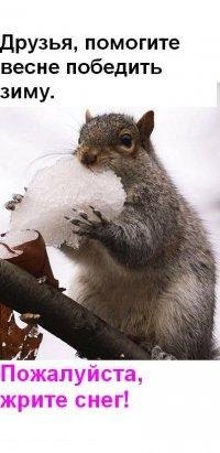 Артем Паламарчук | Синьки