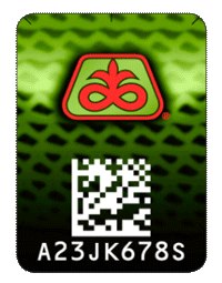 Павел Моторнюк | Житомир