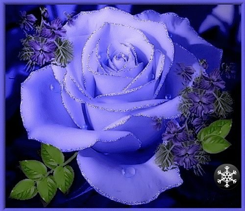 Анастасия Шумакова | Кривой Рог