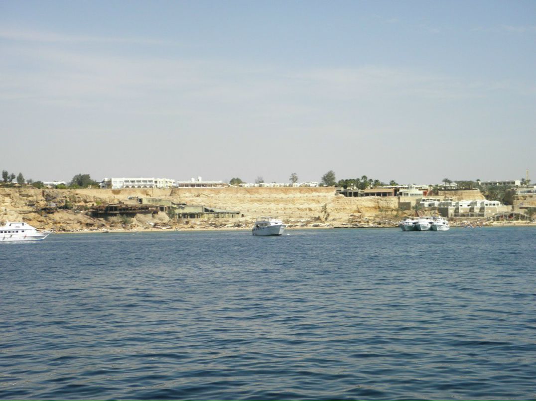 Зоя Мартынюк | Одесса