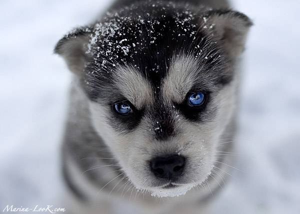 №31, Валера Пупиков, 38 лет №31, Валера Пупиков, 38 лет