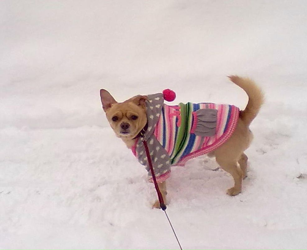 Галина Суворова | 