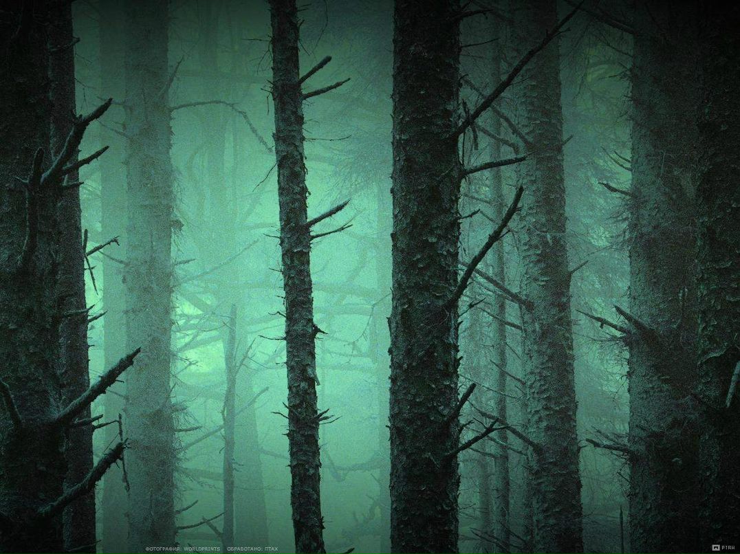 Дмитрий Шишонин ~Крепкий~ | Berlin